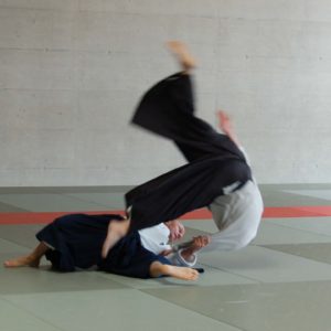 Aikibudo